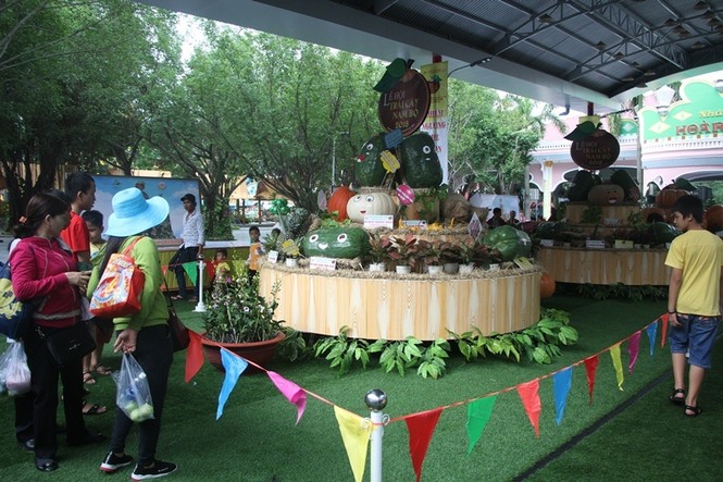 Củ, quả 'khủng' ở khu vườn 'kỳ hoa dị thảo' Nam bộ - ảnh 11