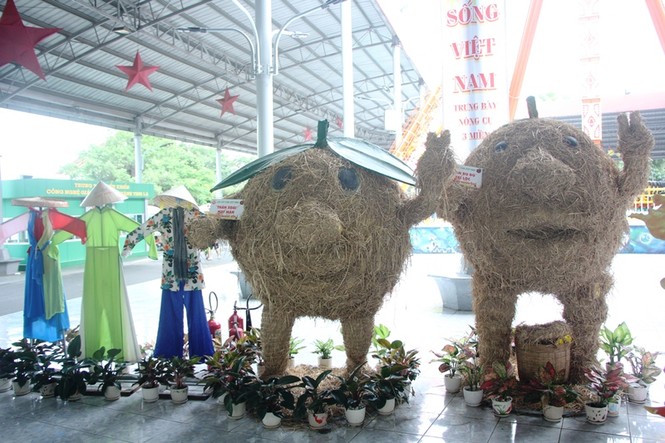 Củ, quả 'khủng' ở khu vườn 'kỳ hoa dị thảo' Nam bộ - ảnh 14