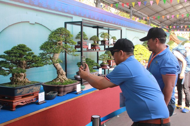 Chiêm ngưỡng các tác phẩm bonsai và đá cảnh nghệ thuật quốc tế hội tụ ở TPHCM - ảnh 4