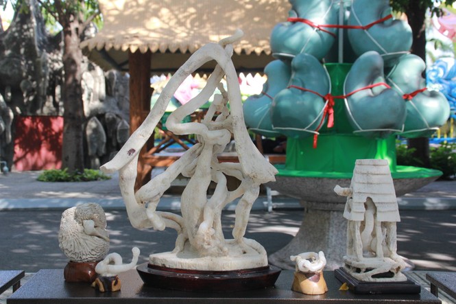 Chiêm ngưỡng các tác phẩm bonsai và đá cảnh nghệ thuật quốc tế hội tụ ở TPHCM - ảnh 25
