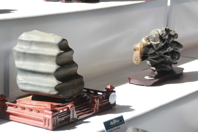 Chiêm ngưỡng các tác phẩm bonsai và đá cảnh nghệ thuật quốc tế hội tụ ở TPHCM - ảnh 26