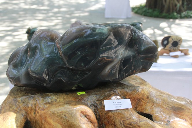 Chiêm ngưỡng các tác phẩm bonsai và đá cảnh nghệ thuật quốc tế hội tụ ở TPHCM - ảnh 22
