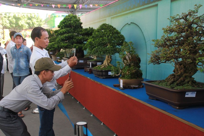Chiêm ngưỡng các tác phẩm bonsai và đá cảnh nghệ thuật quốc tế hội tụ ở TPHCM - ảnh 21