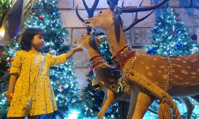 Bố mẹ đưa con đến check-in ở biệt thự lộng lẫy của Đàm Vĩnh Hưng đêm Noel - ảnh 1
