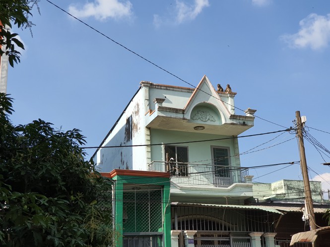Lên phương án vây bắt đàn khỉ hoang “đại náo” cư dân Sài Gòn - ảnh 1