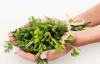4 tuyệt chiêu giúp bạn giảm ngứa do bệnh chàm - ảnh 1