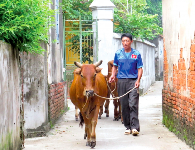 Con trai lập đại công, bố Văn Hậu nói lời mộc mạc - ảnh 2