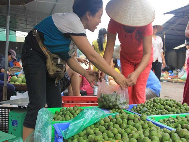 Thu tiền triệu từ nghề chà vỏ sấu đầu mùa - ảnh 12