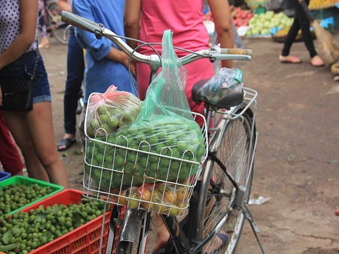 Thu tiền triệu từ nghề chà vỏ sấu đầu mùa - ảnh 15