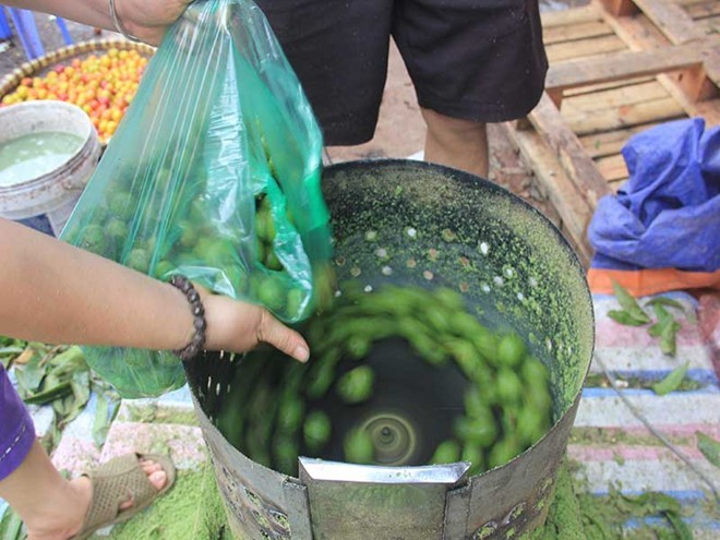 Thu tiền triệu từ nghề chà vỏ sấu đầu mùa - ảnh 2
