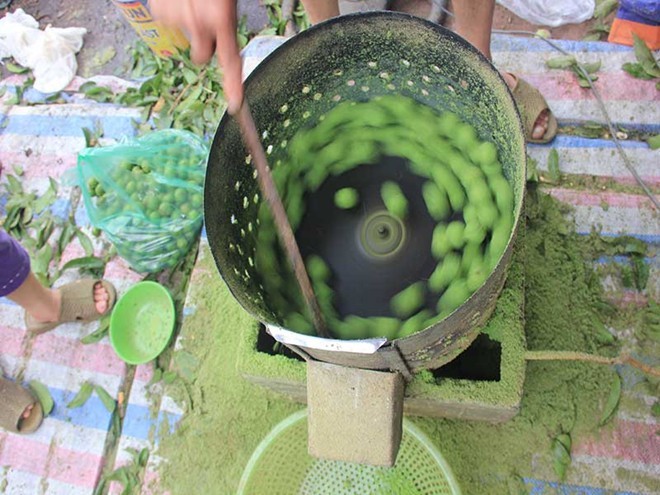 Thu tiền triệu từ nghề chà vỏ sấu đầu mùa - ảnh 3