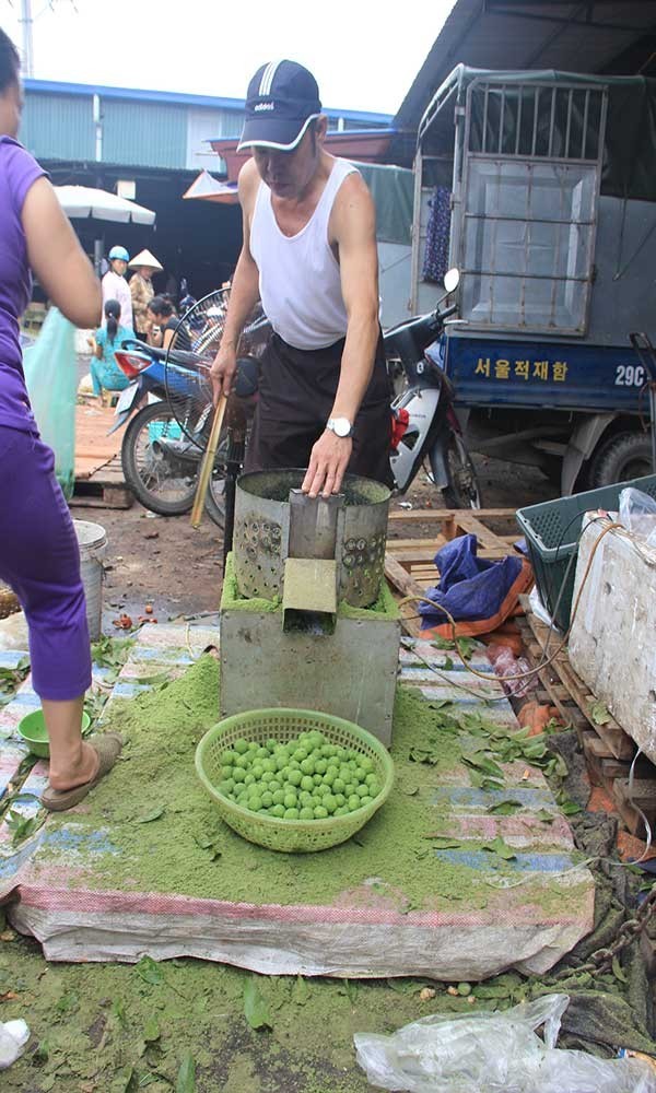 Thu tiền triệu từ nghề chà vỏ sấu đầu mùa - ảnh 5