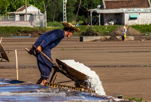 Hạt muối nhọc nhằn của diêm dân Nam Định - ảnh 13
