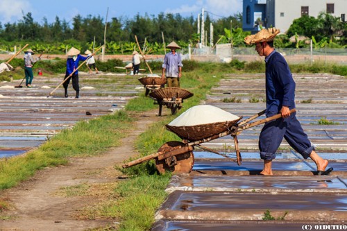 Hạt muối nhọc nhằn của diêm dân Nam Định - ảnh 2