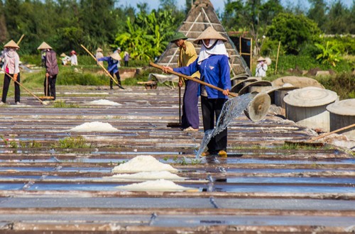 Hạt muối nhọc nhằn của diêm dân Nam Định - ảnh 4