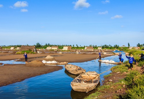 Hạt muối nhọc nhằn của diêm dân Nam Định - ảnh 7