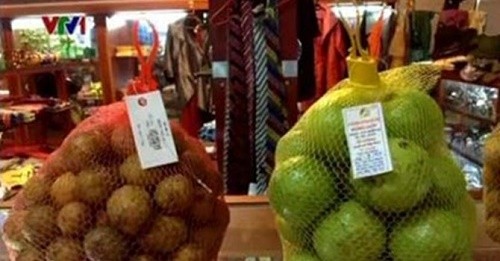 Làm rõ nguồn gốc hoa quả bán ở các sân bay - ảnh 1