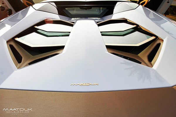 Mê mẩn trước Lamborghini Aventador độ vàng ròng - ảnh 7