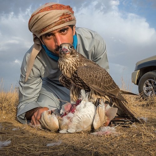 Sở thích nuôi quái thú độc, dị của Thái tử Dubai điển trai - ảnh 11