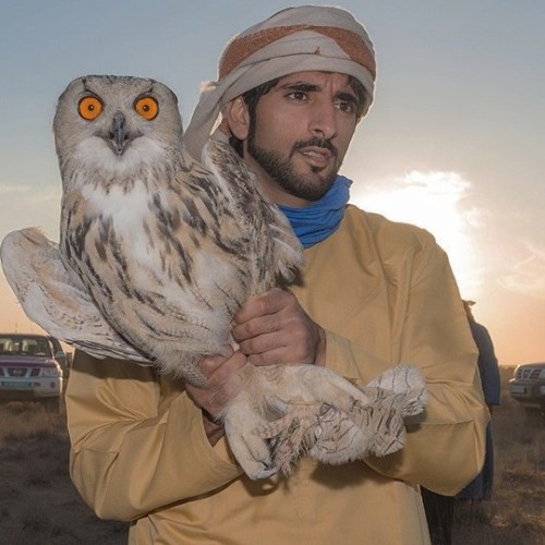 Sở thích nuôi quái thú độc, dị của Thái tử Dubai điển trai - ảnh 1