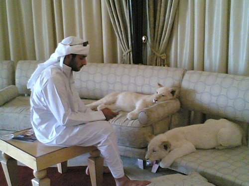 Sở thích nuôi quái thú độc, dị của Thái tử Dubai điển trai - ảnh 4