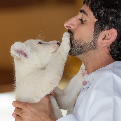 Sở thích nuôi quái thú độc, dị của Thái tử Dubai điển trai - ảnh 7