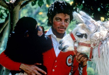 Đột nhập khu biệt thự “trong mơ” của Michael Jackson - ảnh 26