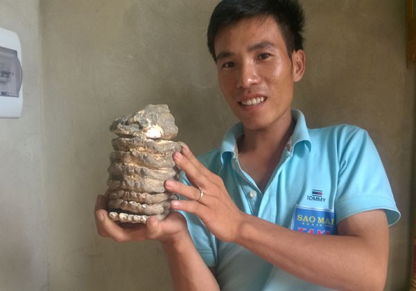 Nhặt được hàm răng hóa thạch của voi ma mút? - ảnh 2