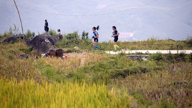 Đại sứ Anh băng núi 70km tại giải chạy việt dã ở Sapa - ảnh 10