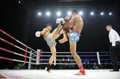 'Đệ nhất Thái Cực' Phi Long thách đấu võ sĩ số một thế giới - ảnh 1