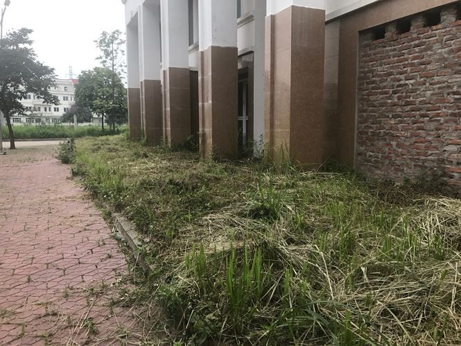 10 năm mở rộng - ảnh 8