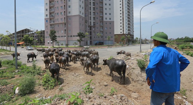 Cuộc chuyển mình 10 năm của kinh tế Hà Nội - ảnh 1