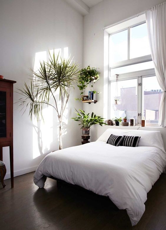 Phòng ngủ nổi bật cho nhà phố hẹp nhờ biến tấu cổ điển và cây xanh - ảnh 8