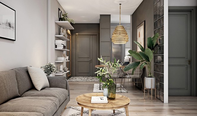 Căn hộ 30m2 có nội thất đơn giản nhưng vô cùng sang trọng - ảnh 2