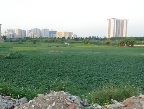 Nhiều dự án tại Hà Nội lợi dụng điều chỉnh quy hoạch để chây ỳ, kéo dài thời gian - ảnh 2