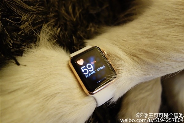 Con trai tỷ phú Trung Quốc đeo Apple Watch cho chó - ảnh 3