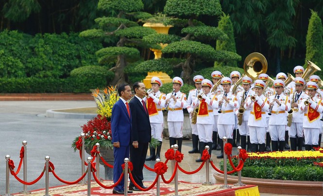 Chủ tịch nước Trần Đại Quang tiếp đón Tổng thống Indonesia - ảnh 6