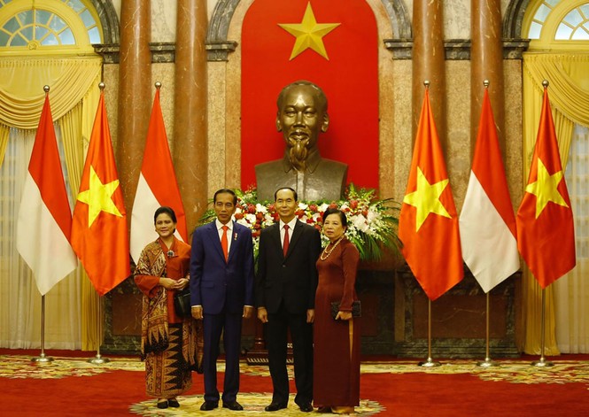 Chủ tịch nước Trần Đại Quang tiếp đón Tổng thống Indonesia - ảnh 8