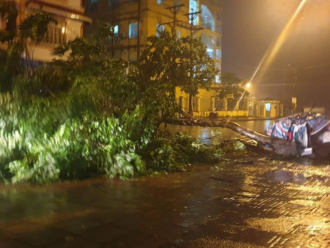 Bão số 3 suy yếu thành áp thấp, TP Móng Cái và nhiều địa phương nguy cơ ngập - ảnh 3