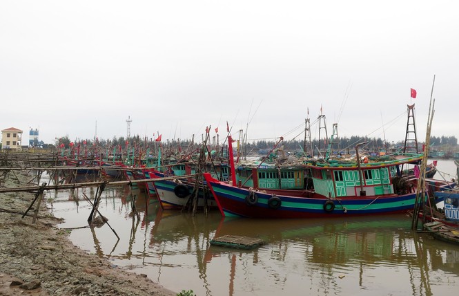 Bão số 3 suy yếu thành áp thấp, TP Móng Cái và nhiều địa phương nguy cơ ngập - ảnh 9