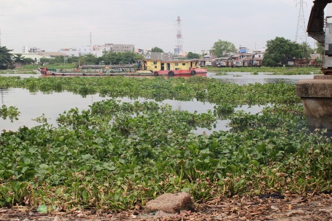 Phát hiện thi thể trên sông Sài Gòn - ảnh 3