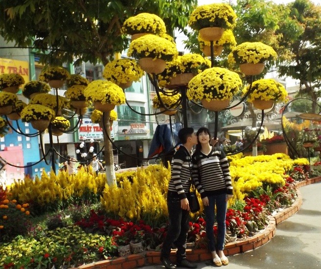 Chen chân chụp ảnh đường hoa Cần Thơ - ảnh 4