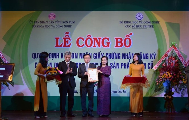 Công bố giấy chứng nhận chỉ dẫn địa lý sâm “Ngọc Linh” - ảnh 2