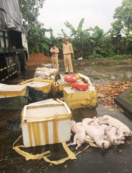 Bắt giữ gần 1 tấn thịt chó, mèo không rõ nguồn gốc - ảnh 1