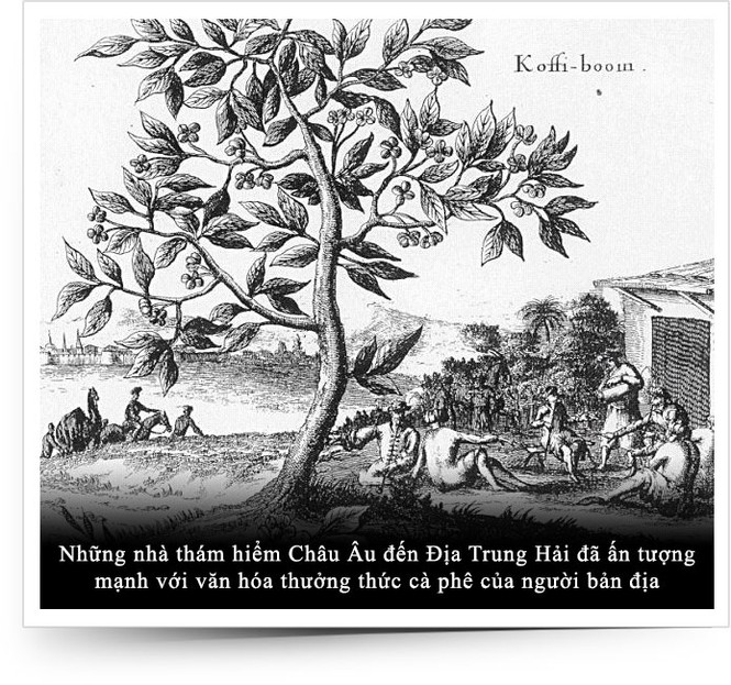 Kỳ 12: Cà phê chinh phục Châu Âu - ảnh 3