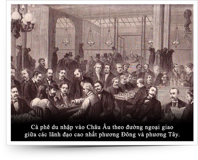 Kỳ 12: Cà phê chinh phục Châu Âu - ảnh 2