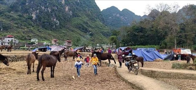 Cao Bằng: Dân dựng lán ngủ ngoài đồng sau nhiều trận động đất liên tiếp - ảnh 2