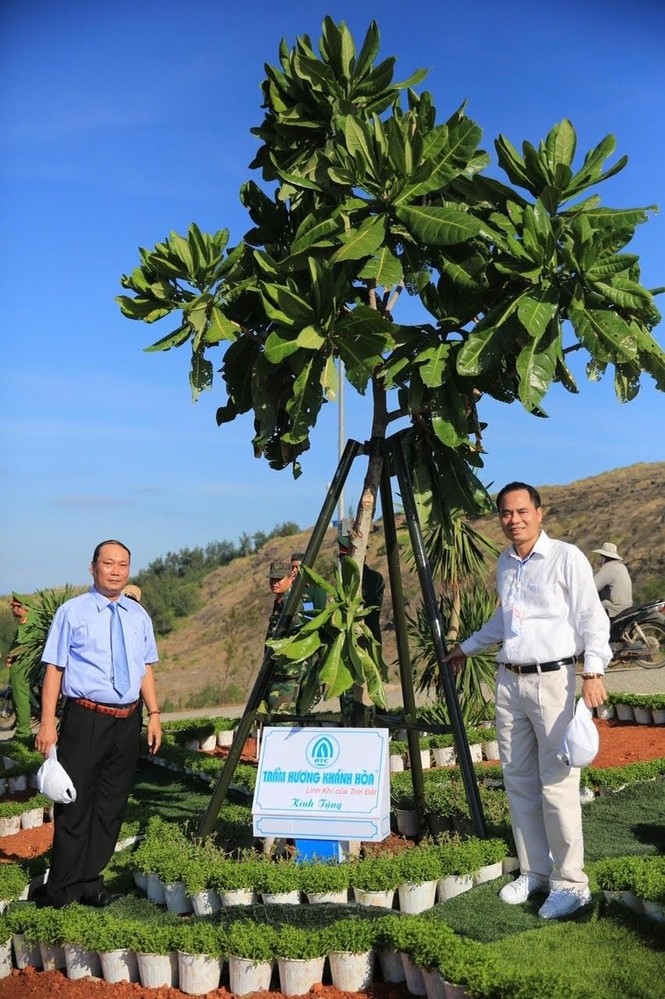 Trầm hương Khánh Hòa trao tặng vườn hoa tại cột cờ Thới Lới cho huyện đảo Lý Sơn - ảnh 2