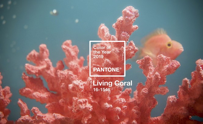 Sắc cam của những rạn san hô - Living Coral là màu sắc chính thức của năm 2019 - ảnh 1