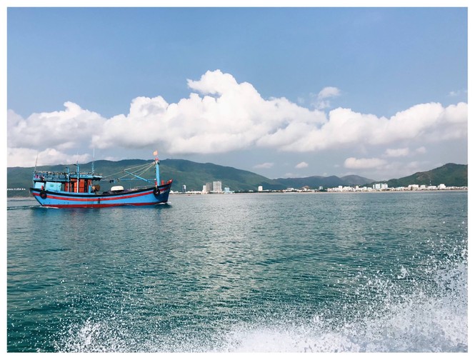 Vẻ đẹp hoang sơ của đảo Cù Lao Xanh (Bình Định) không phải ai cũng biết - ảnh 15